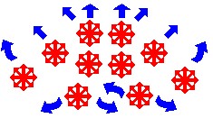 spider.jpg (16956 bytes)