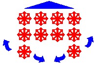 turtle.jpg (14437 bytes)